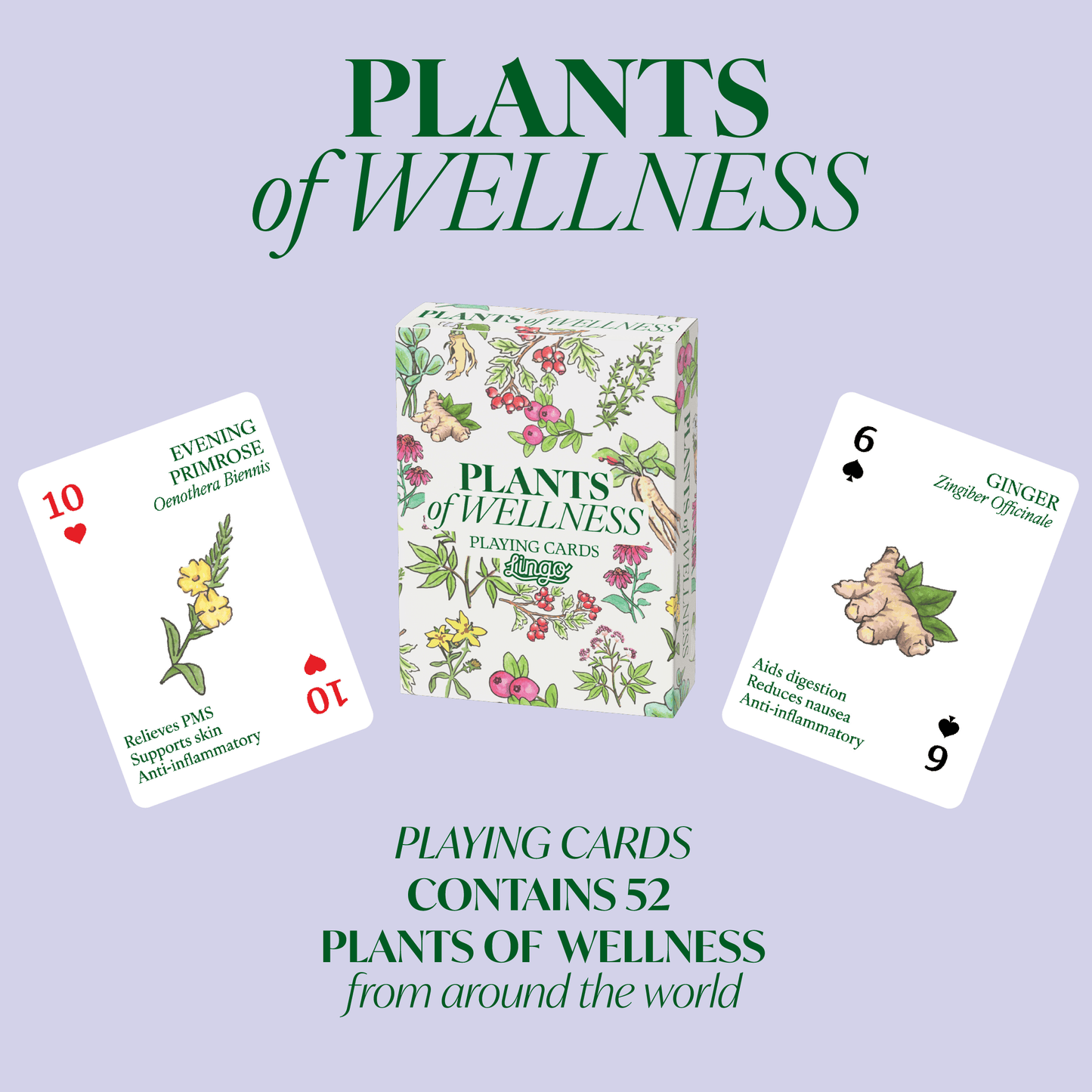 Plants of Wellness Lingo Playing Cards