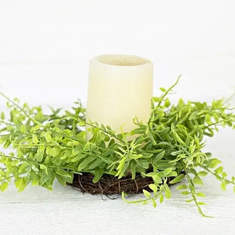 Green Fern Twig Wreath