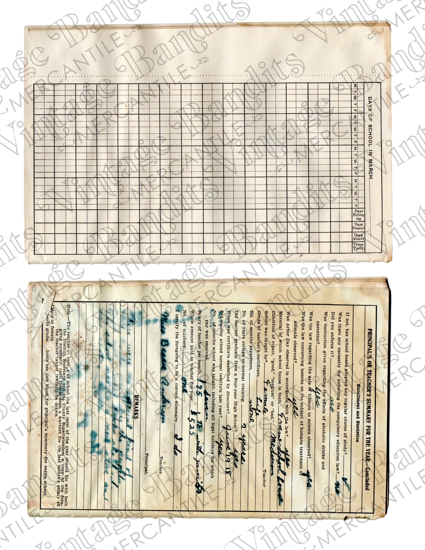 1919 Teacher's Register - Digital File