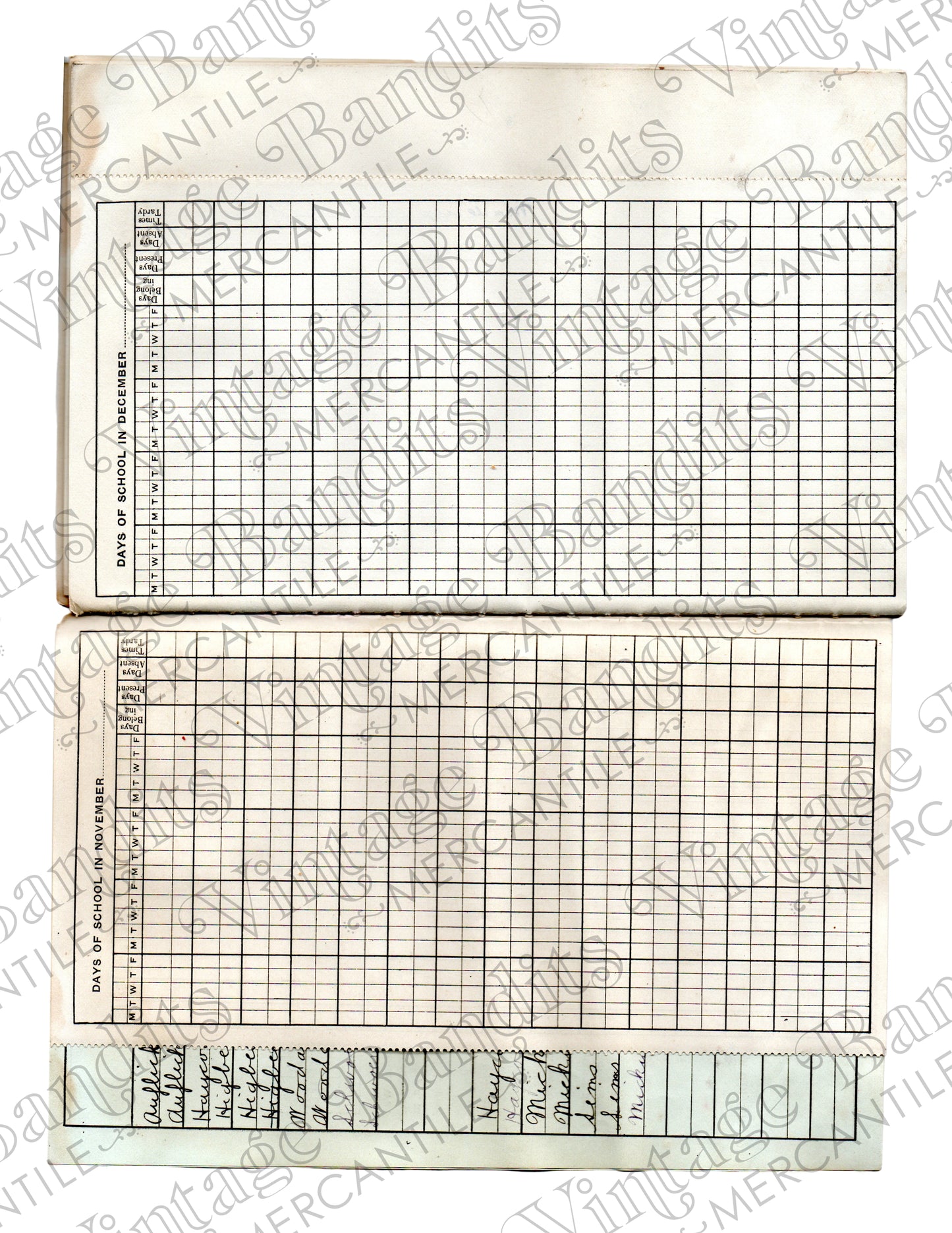 1919 Teacher's Register - Digital File
