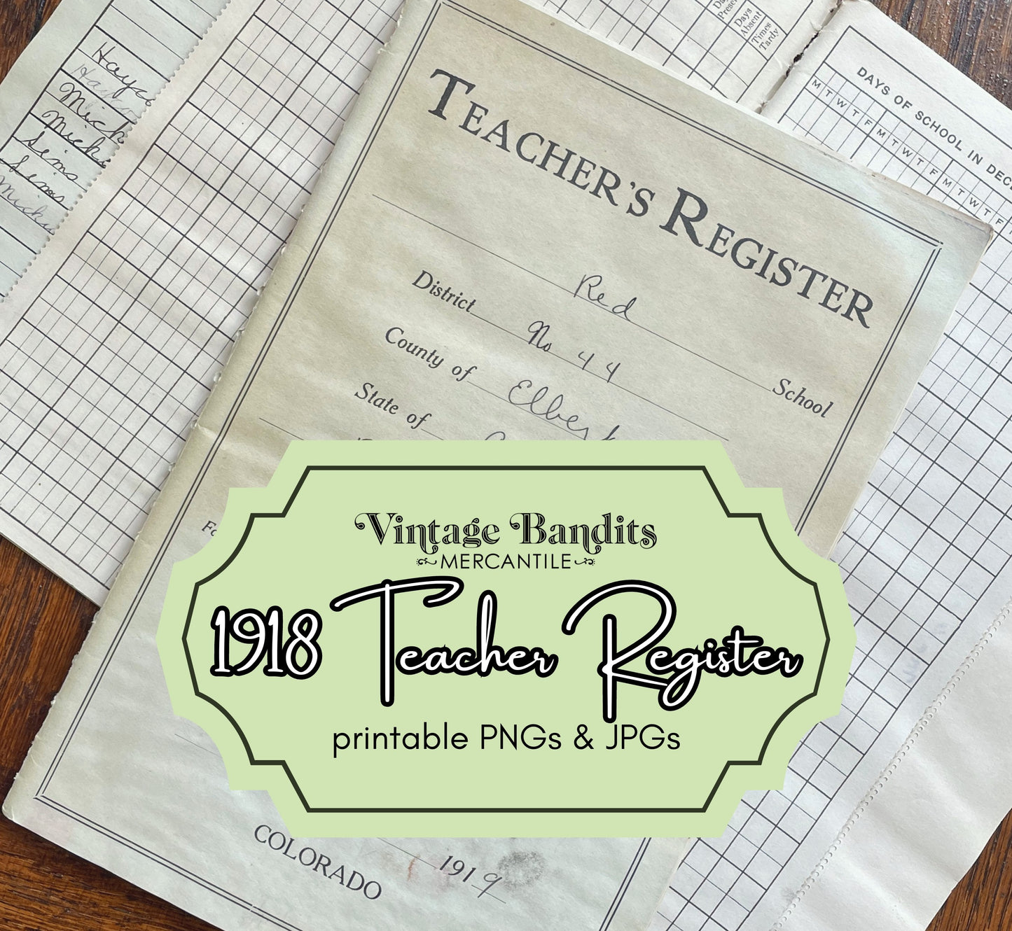 1919 Teacher's Register - Digital File