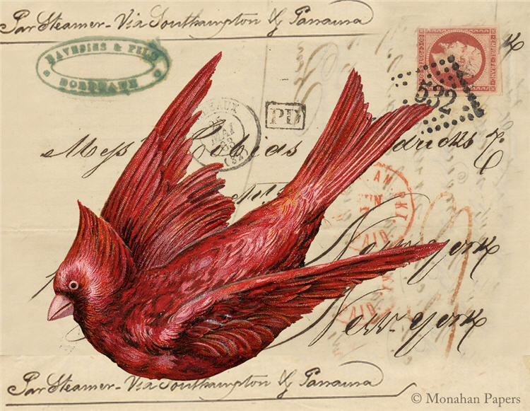 Cardinal #120