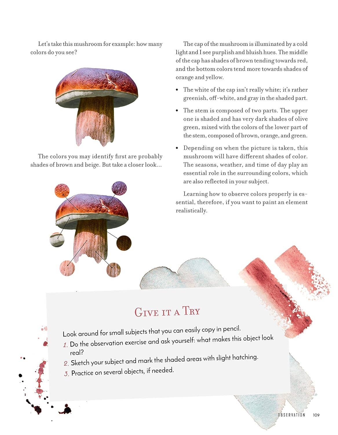 Discovering Watercolor - 32 Skill Building Projects