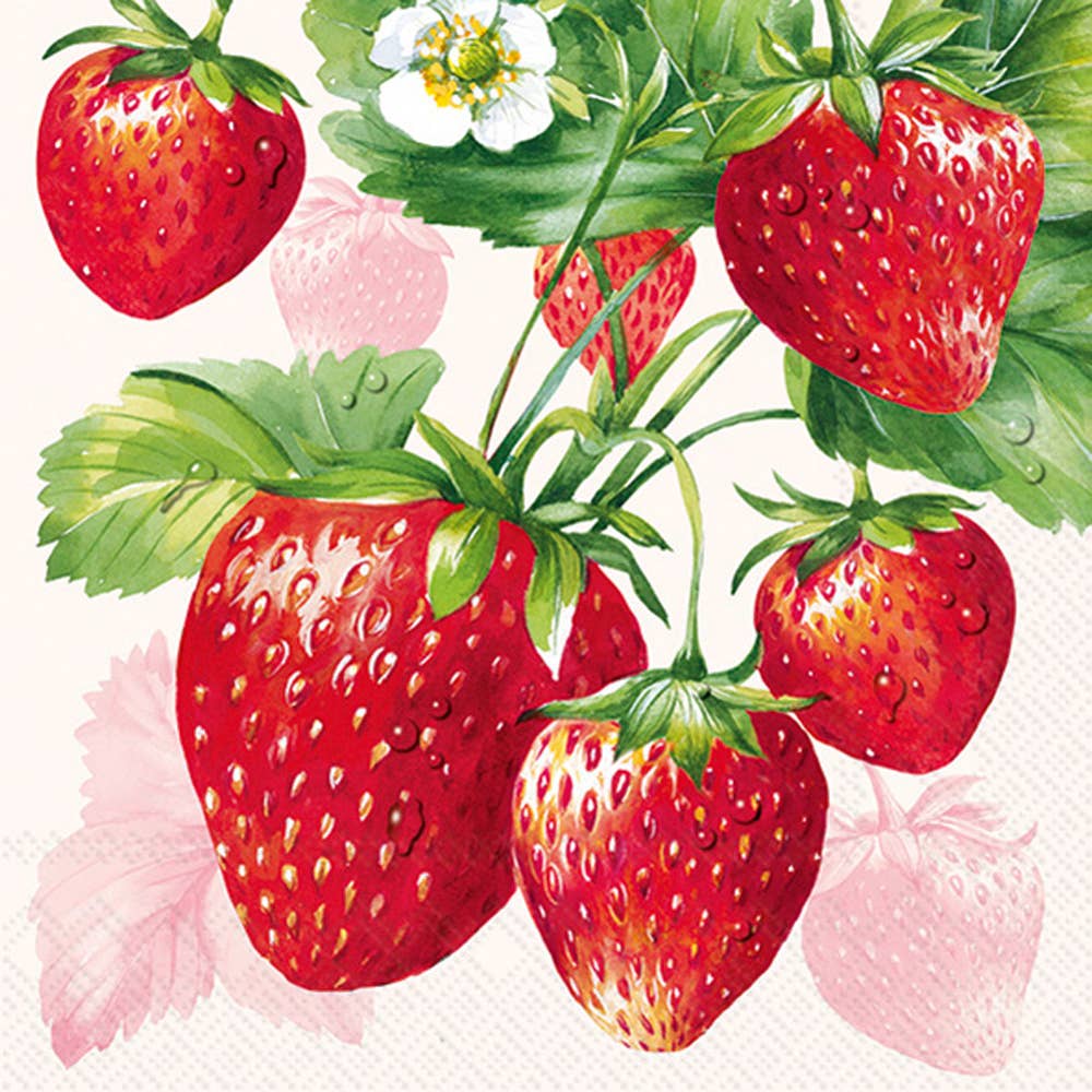 Paper Cocktail Napkins 20ct Strawberry Fruits Cream