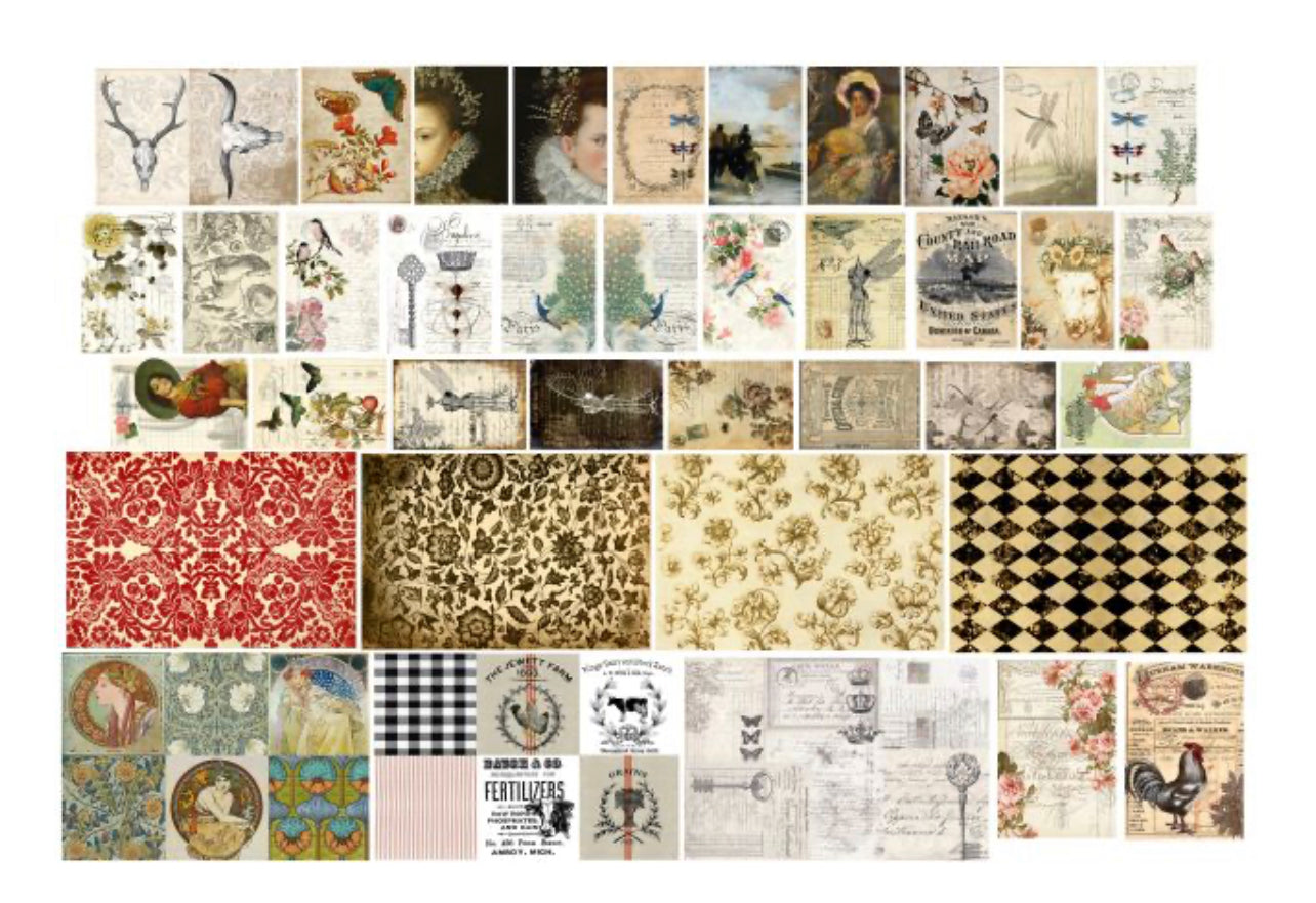 Catalog