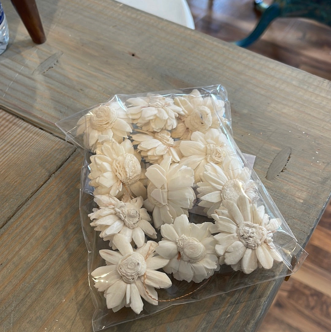 Dried Zenia