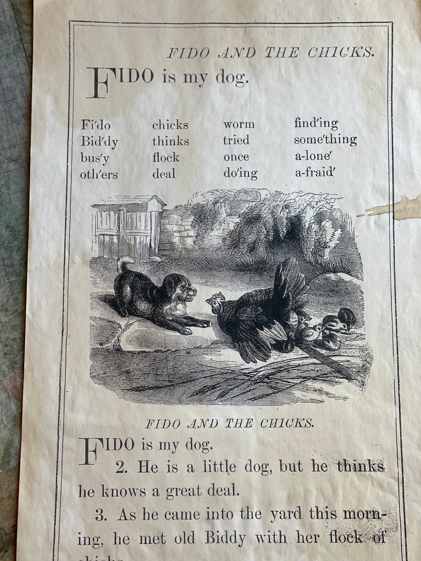 Fido is my dog