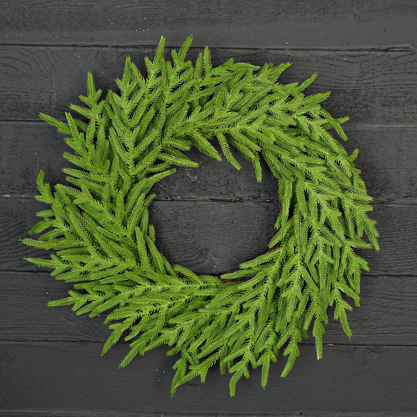 510700- 24in Twig Wreath-Soft Touch Evergreen Norfolk Pine-