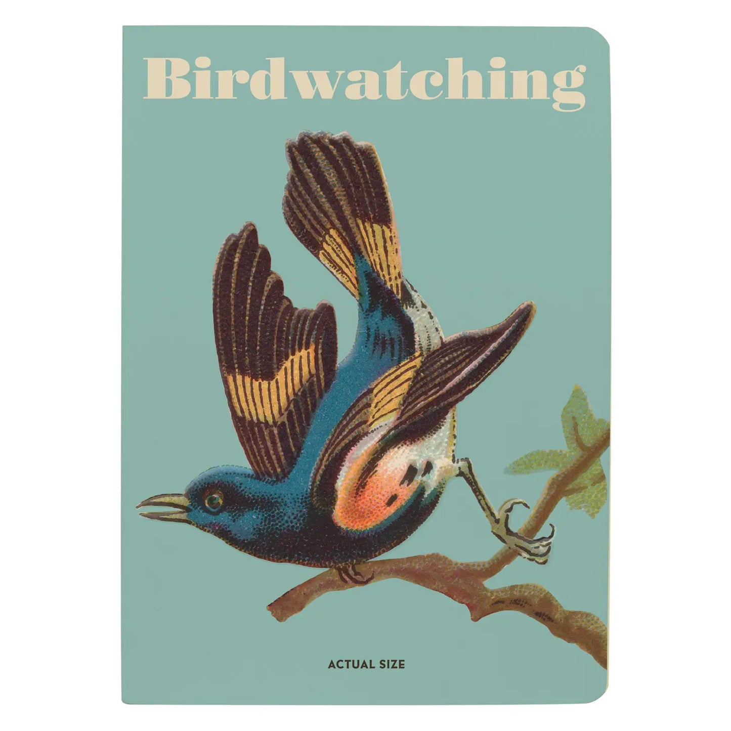 Bird Watching Notebook