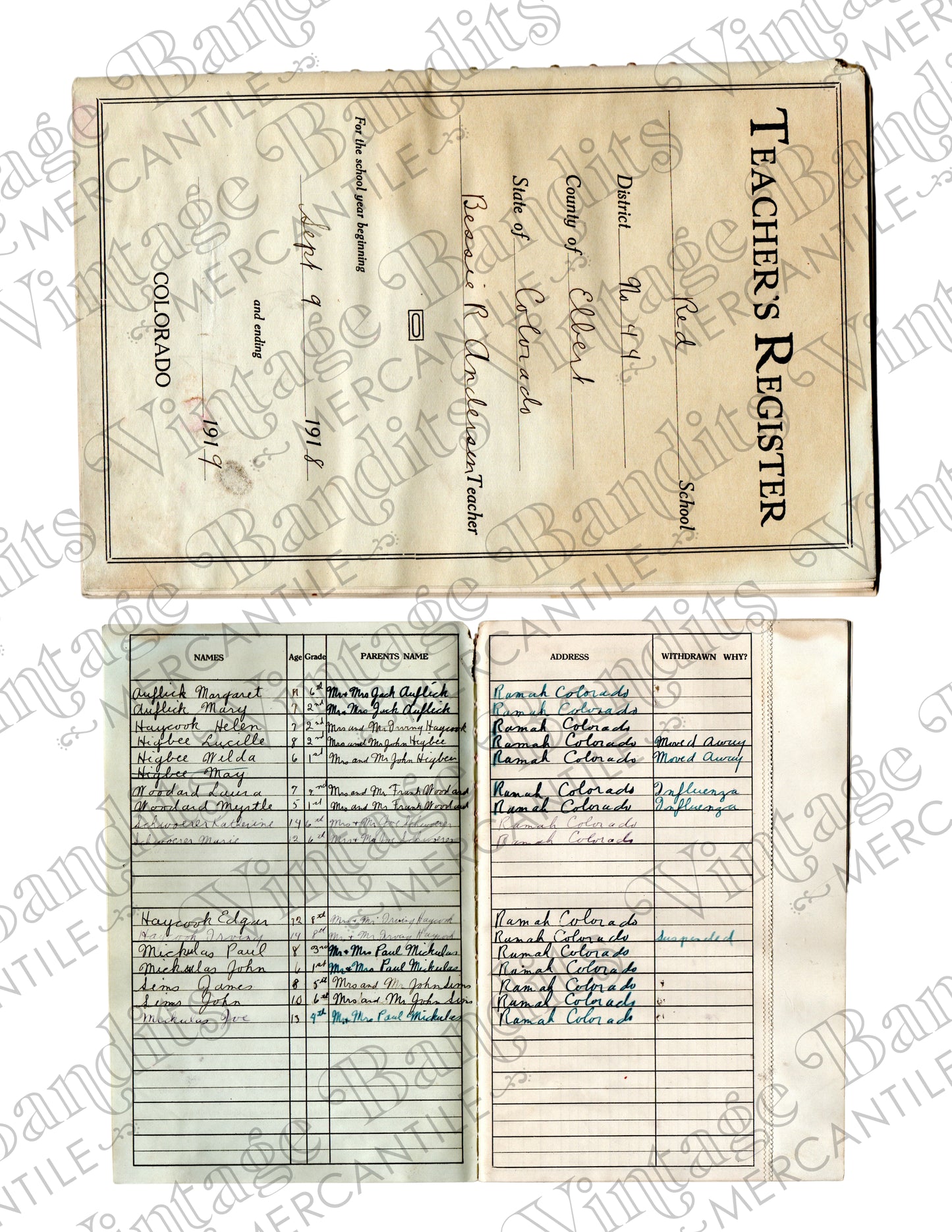 1919 Teacher's Register - Digital File