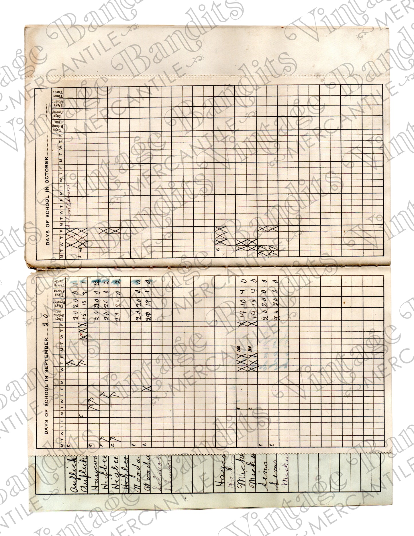 1919 Teacher's Register - Digital File
