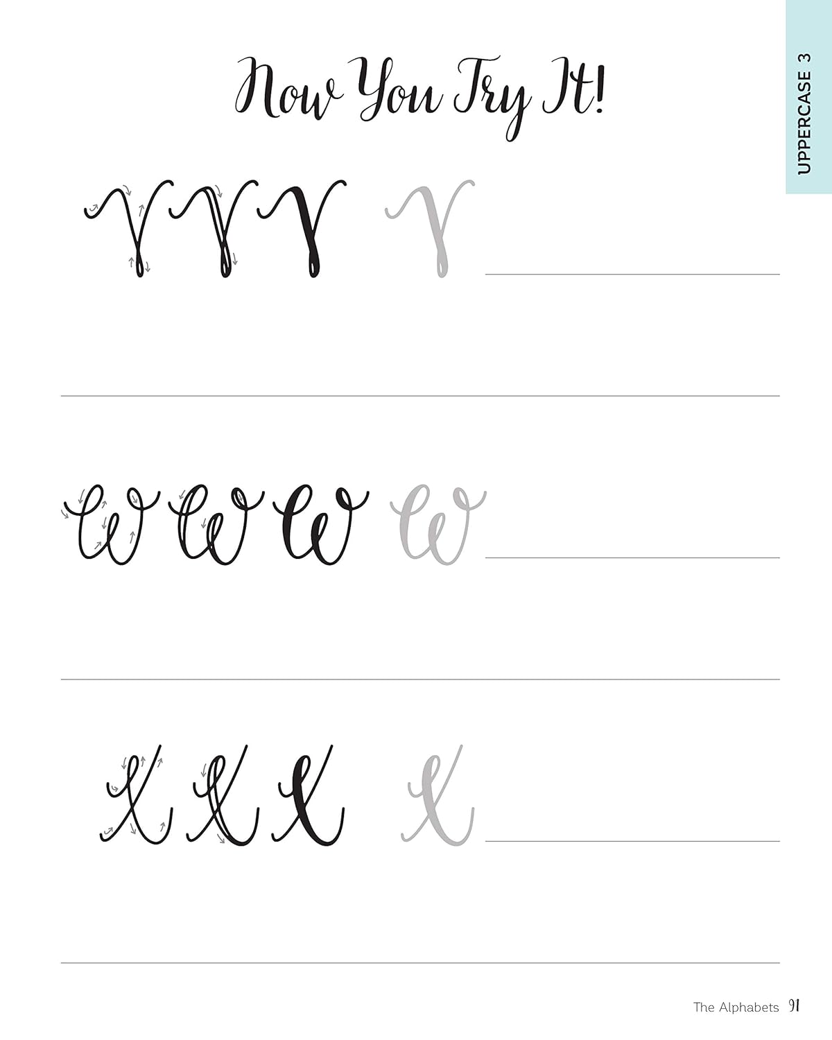 Lettering for Absolute Beginners Workbook - Faux Calligraphy