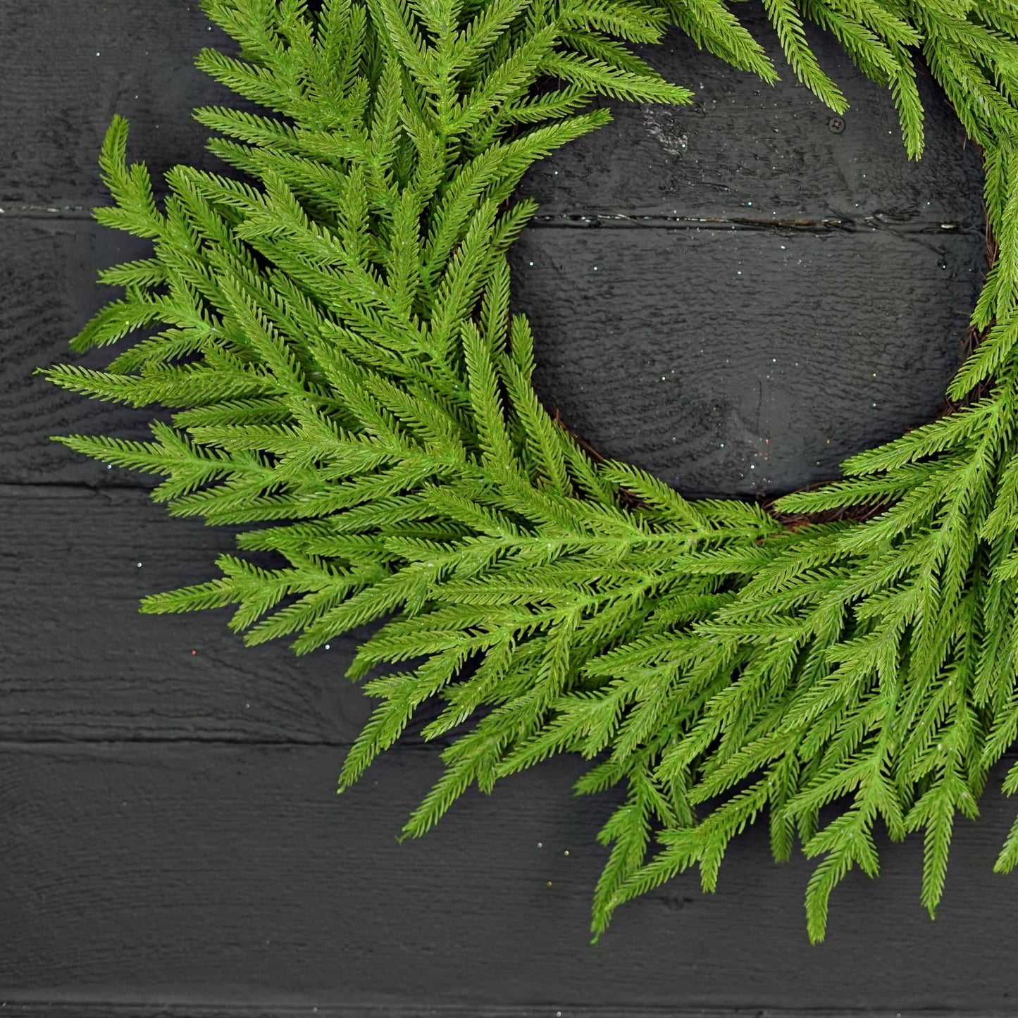 510700- 24in Twig Wreath-Soft Touch Evergreen Norfolk Pine-