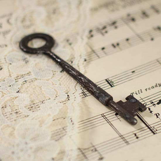 3-3/4"  long - Vintage Look Metal Oval Skeleton Key