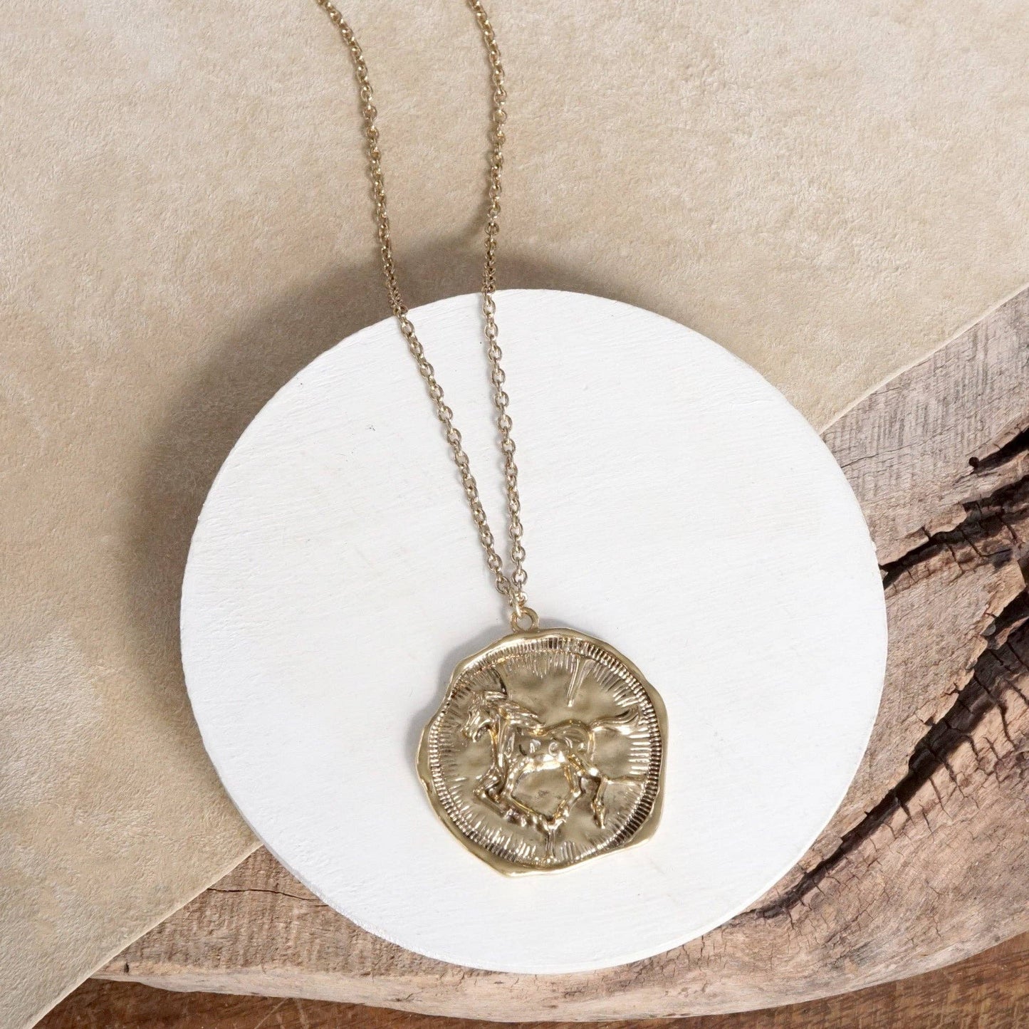 Equestrian Horse Coin Long Necklace Worn Gold or Silver