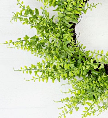 20 inch Green Fern Twig Wreath