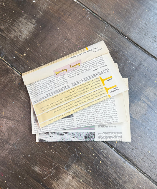 Ephemera Mystery Envelope