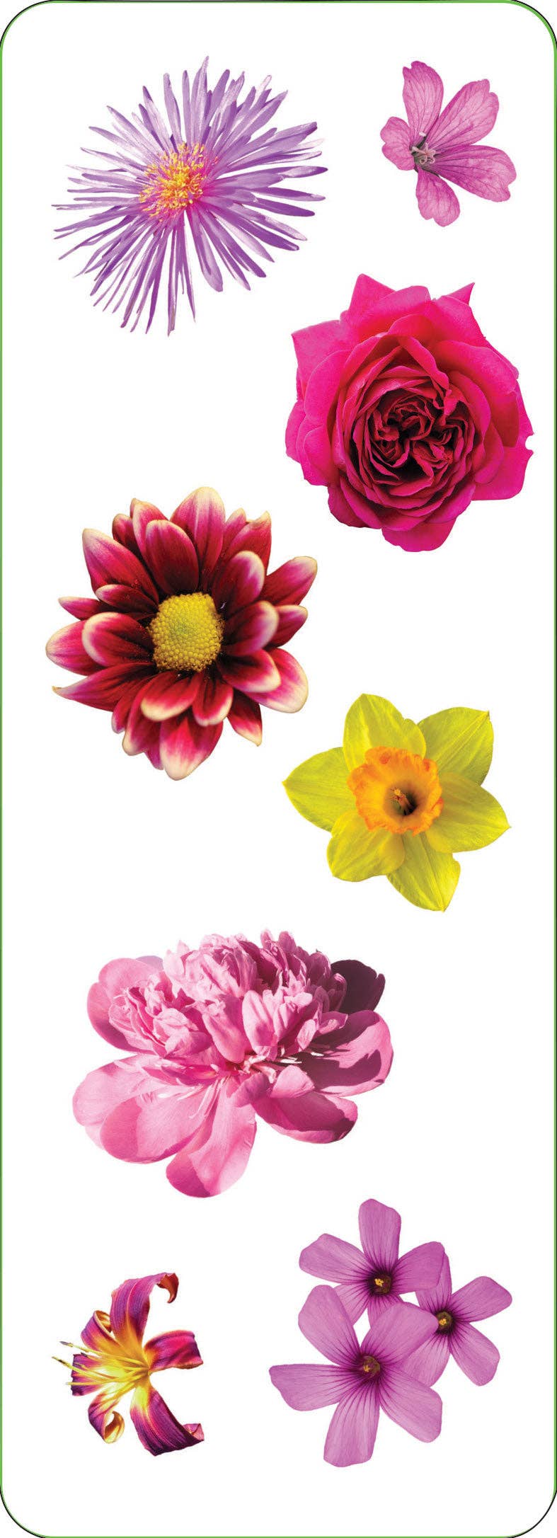 Flowers Sticker Set