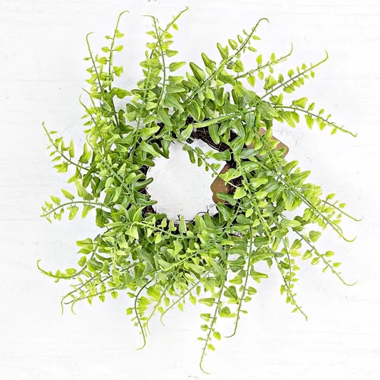 Green Fern Twig Wreath