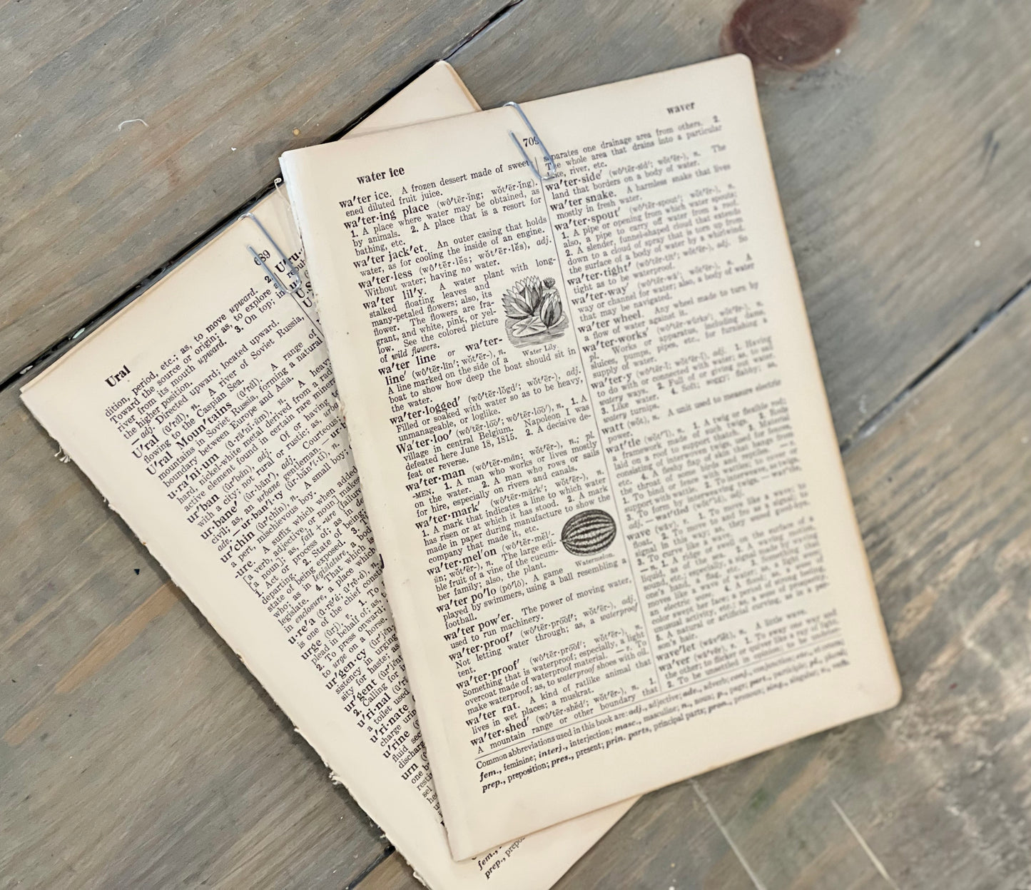 10 Vintage Dictionary Book Pages