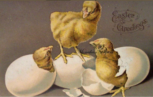 Chicks Easter Greetings #44