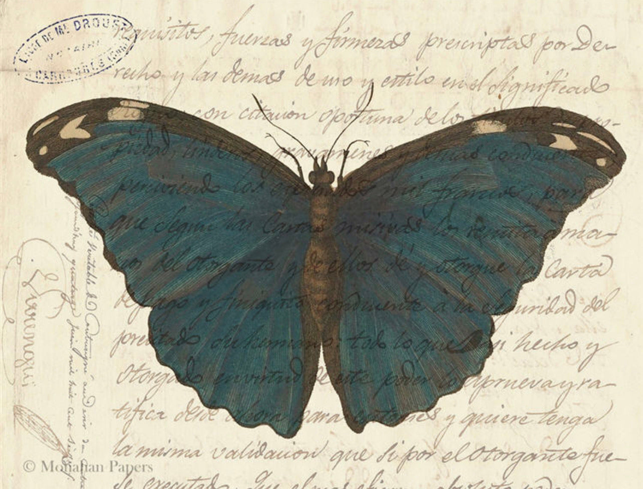 Blue Butterfly #56