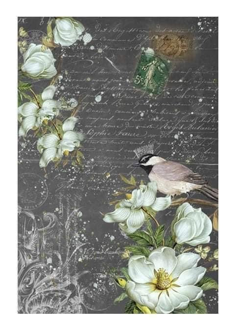 Summer Bird