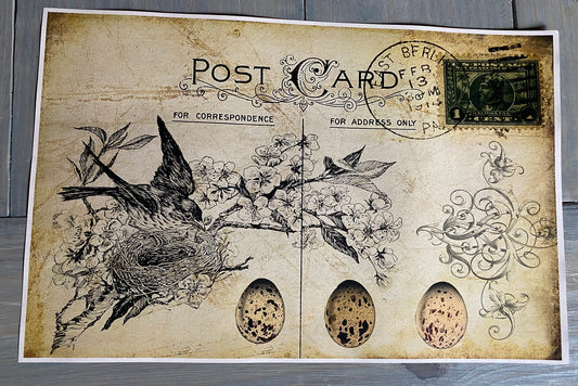 Bird Post Card #4